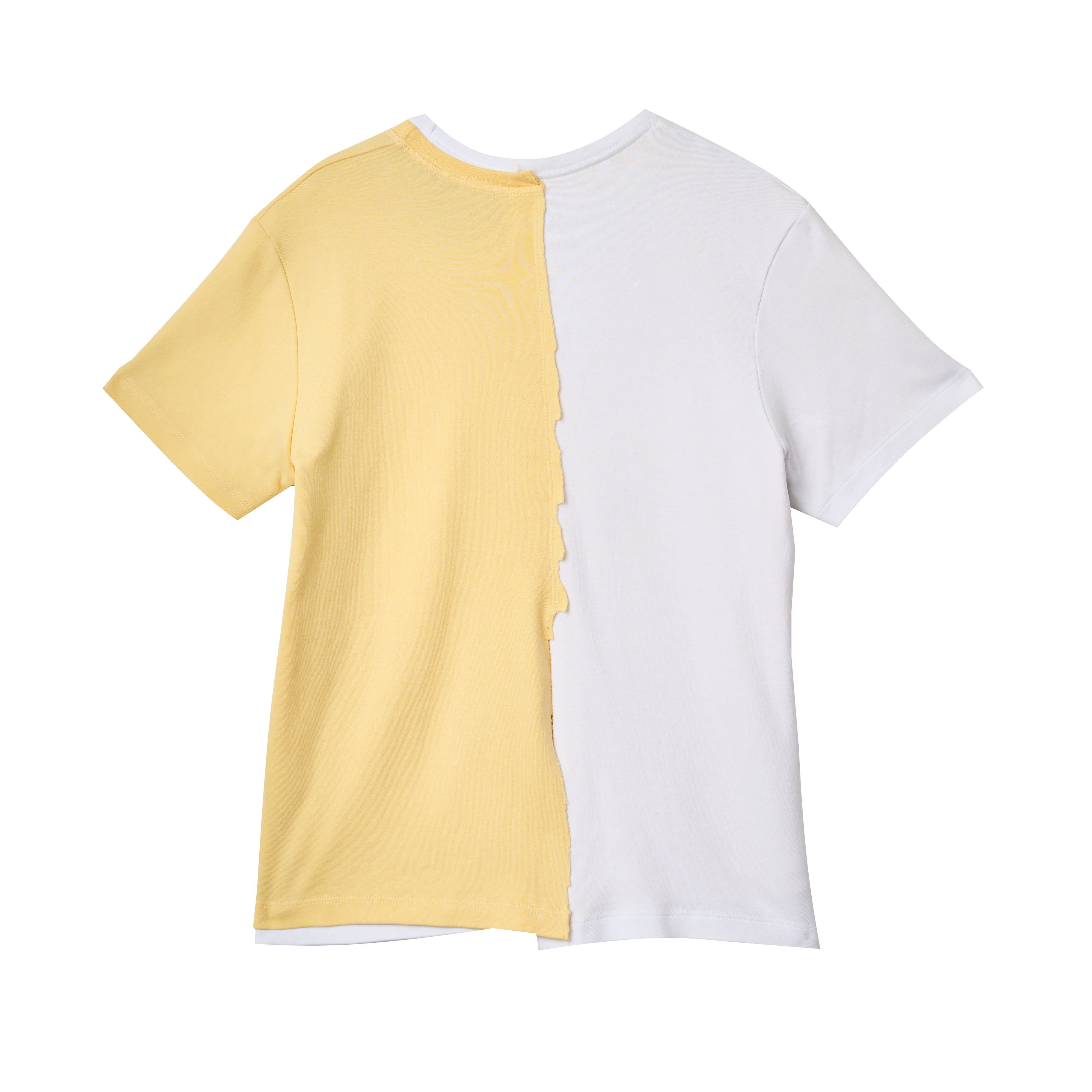 Camiseta Bicolor